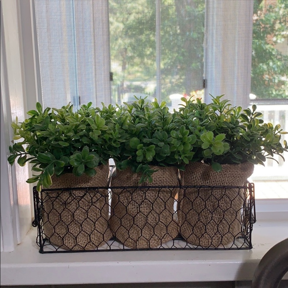 Faux boxwood windowsill decoration
